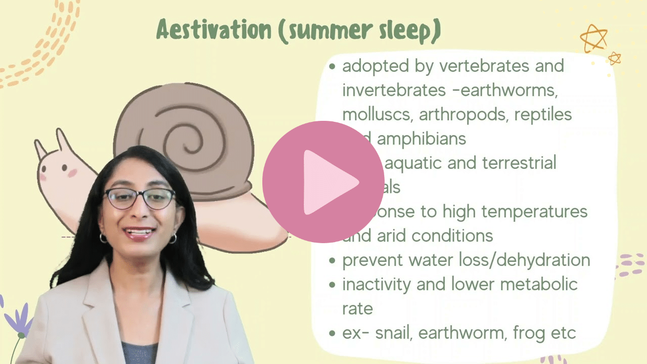 Adaptations to environment