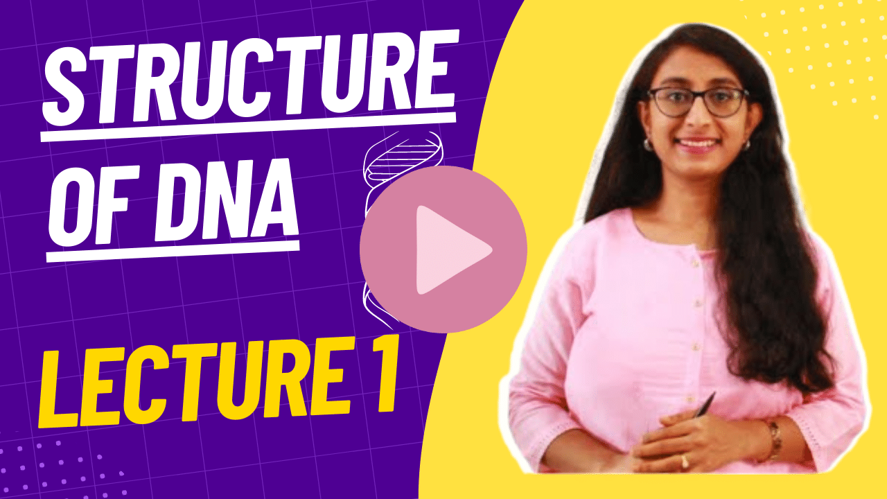 Structure of DNA Lecture 1